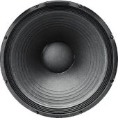 Electro Voice EV DL15 Y recone service