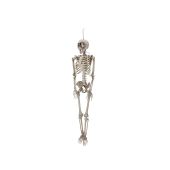 EUROPALMS Haloween Figure Skeleton moldable, animated, 160cm