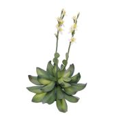 EUROPALMS Houseleeks (EVA), kunstmatig, geel, 32cm