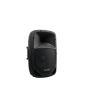 OMNITRONIC VFM-210 2-way Speaker