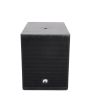 OMNITRONIC PAS-151A PRO DSP Active Subwoofer