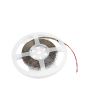 EUROLITE LED Strip 300 5m 3528 2700K 12V