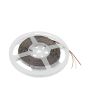 EUROLITE LED Strip 600 5m 3528 2700+5700K 24V