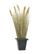 EUROPALMS Tarwe klaar om te oogsten, kunstmatig, 60cm