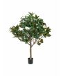 EUROPALMS Magnoliaboom, kunstplant, 150cm