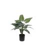 EUROPALMS Caladium, kunstplant, 38cm