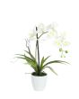 EUROPALMS Orchideeënarrangement 1, kunstmatig