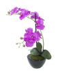 EUROPALMS Orchideeënarrangement 4, kunstmatig