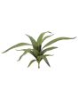 EUROPALMS Aloe (EVA), kunstmatig, groen, 66cm