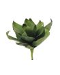 EUROPALMS Agave (EVA), kunstmatig groen, 35cm