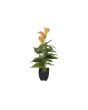 EUROPALMS Mini Calla, kunstplant, geeloranje, 43cm