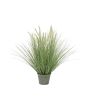 EUROPALMS Bloeiend siergras, kunstgras, 70cm