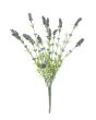  Features

Lavender bush, tall

    Color: green-purple
    With 13 flowers
    Positioning: without
    With approx 13 beautifully flowers

Technical specifications
Color:	Purple
Material:	PE ND polyethylene
Flowers:	Pieces: ca. 13 pc/pcs
Le