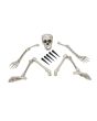 EUROPALMS Halloween Skeleton, multipart