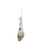 EUROPALMS Halloween Figure Skull in Spider Web, 30cm