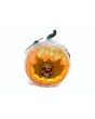 EUROPALMS Halloween Pumpkin in Spider Web, 25cm
