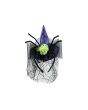EUROPALMS Halloween Costume Witch Hat with Spider