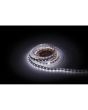 Artecta Havana Ribbon RGBW 2200K 24V 5m 5050 led 4-in-1