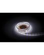Artecta Havana Ribbon RGB+2700K 24V 5m 5050+3528 led