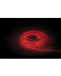 Artecta Havana Ribbon Red 60-24V 5m 5050 led single color