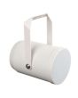 DAP PSU-510P 10 Watt 5" Unidirectional projector speaker