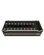 DAP Case for 12x Sunstrip Active