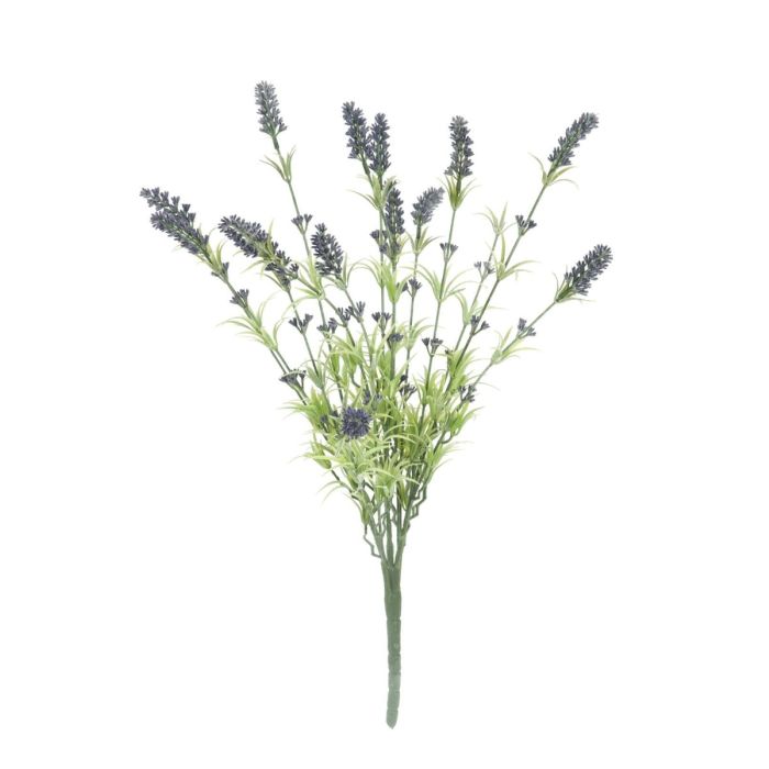 Features
Lavender bush, tall
Color: green-purple
With 13 flowers
Positioning: without
With approx 13 beautifully flowers
Technical specifications
Color: Purple
Material: PE ND polyethylene
Flowers: Pieces: ca. 13 pc/pcs
Le