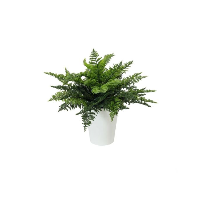 EUROPALMS Varenstruik in pot, kunstplant, 51 bladeren, 48cm