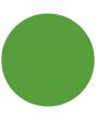Showgear Kleurenvel 122 x 55 cm Groen