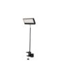 EUROLITE LED KKL-40 Floodlight 3CT black