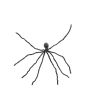 EUROPALMS Halloween Giant Spider, grey, 230cm