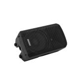 OMNITRONIC VFM-210 MK2 2-way Speaker