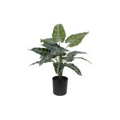 EUROPALMS Caladium, kunstplant, 38cm