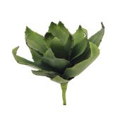 EUROPALMS Agave (EVA), kunstmatig groen, 35cm