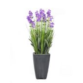 EUROPALMS Lavendel, kunstplant, paars, in pot, 45cm