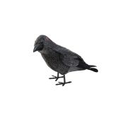 EUROPALMS Halloween Raven, 18cm 
