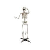 EUROPALMS Halloween Skeleton, standing, 150 cm