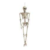 EUROPALMS Halloween Skeleton