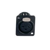 Dap female  xlr chassis zwart