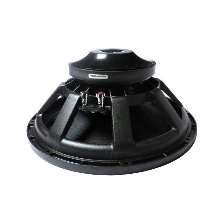 EV dvx3180a recone service low woofer uit tour ETX 35