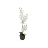 EUROPALMS Orchidee kunstplant, wit, 80cm