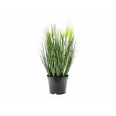 EUROPALMS Verengras, kunstgras, wit, 60cm