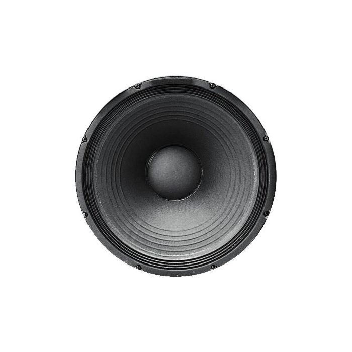 Electro Voice EV DL15 Y recone service