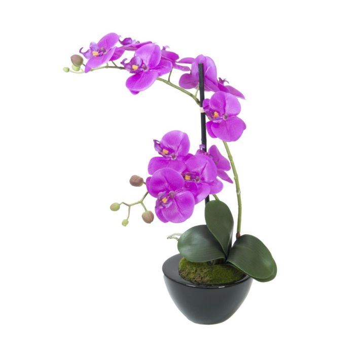 EUROPALMS Orchideeënarrangement 4, kunstmatig
