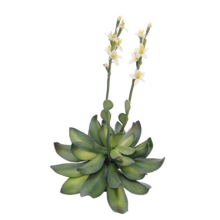 EUROPALMS Houseleeks (EVA), kunstmatig, geel, 32cm