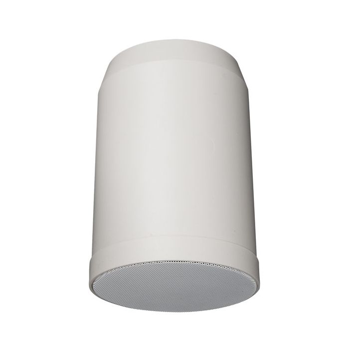 DAP HS-510P 10W 5" Hanging Speaker